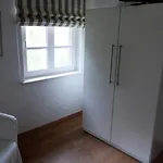 Reetdachhaushaelfte-1 * Böhl